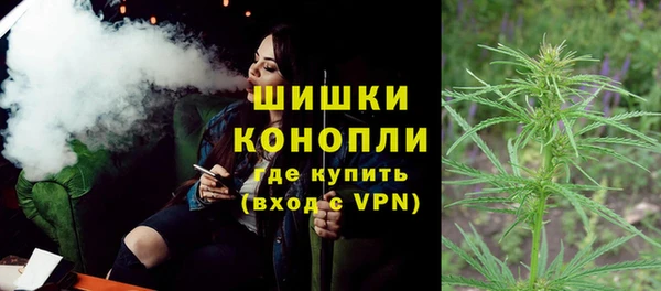 apvp Белокуриха